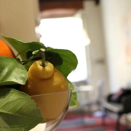 Apartment Delicious Santa Croce Lucca